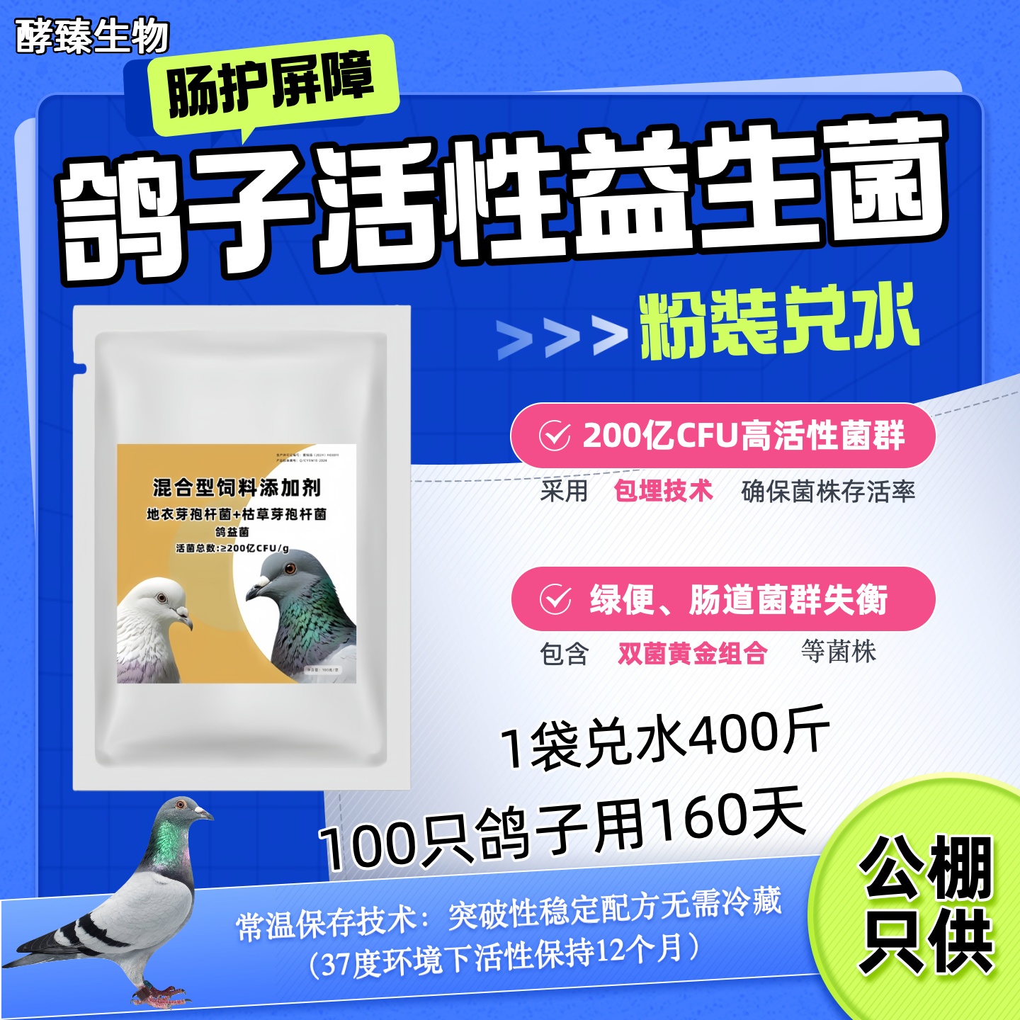 鸽子益生菌活菌王赛鸽肉鸽观赏鸽调理肠道菌群平衡抑制绿便