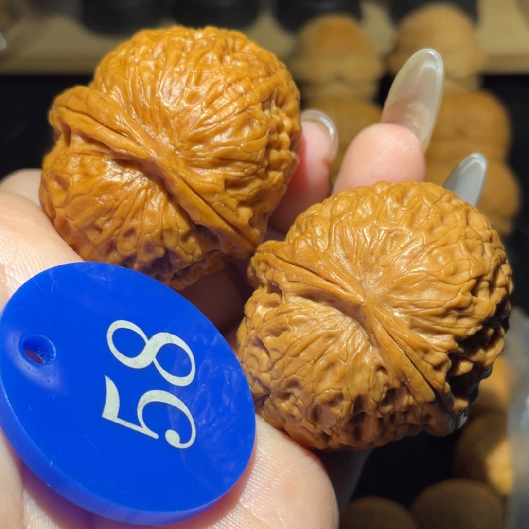 龙鳞铁锤42尺寸核桃