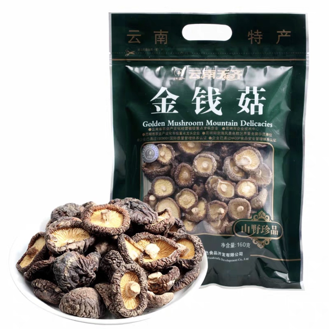 云南天齐 100g金钱菇