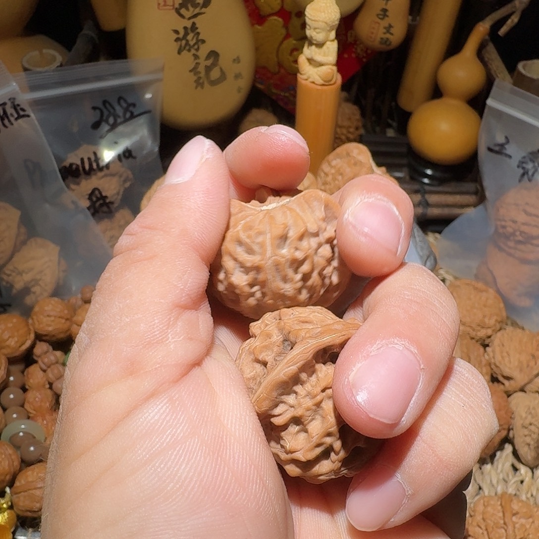 核桃蓟县盘山公子帽