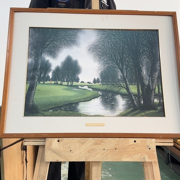 带框画拍下玻璃不包运损不退不换