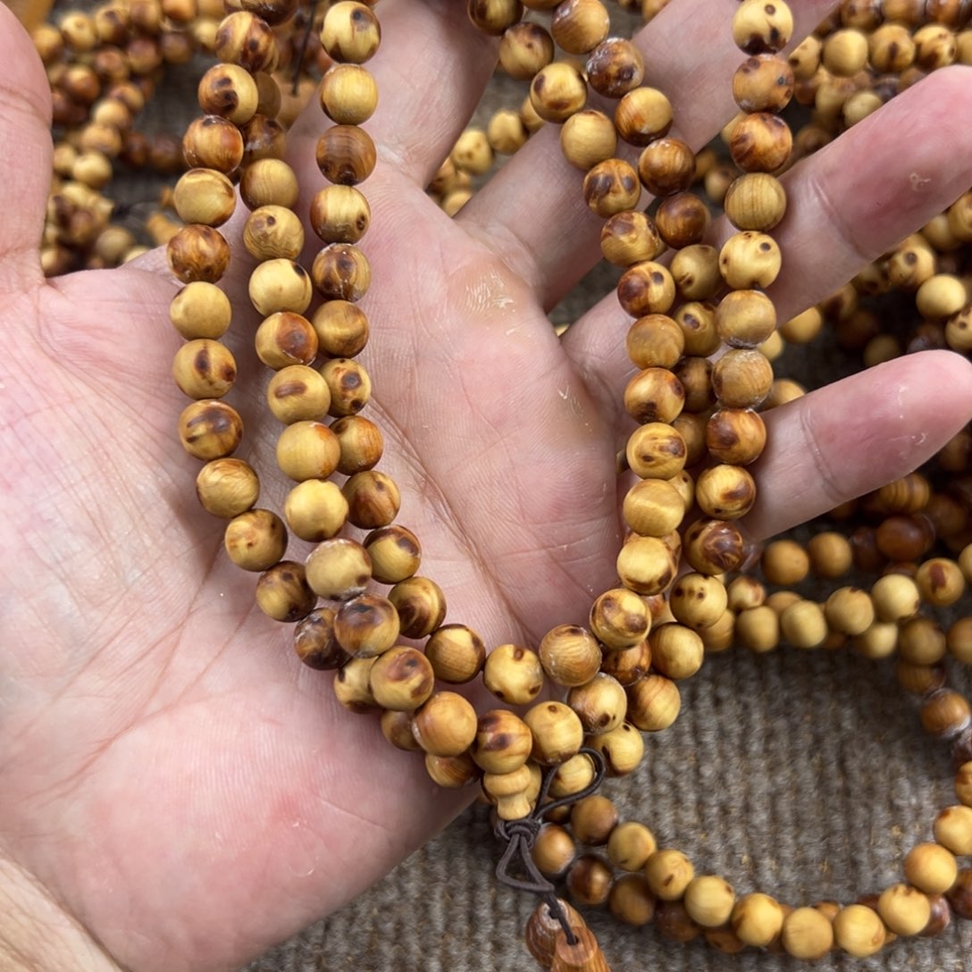 木太行崖柏0.8。。。。。。。