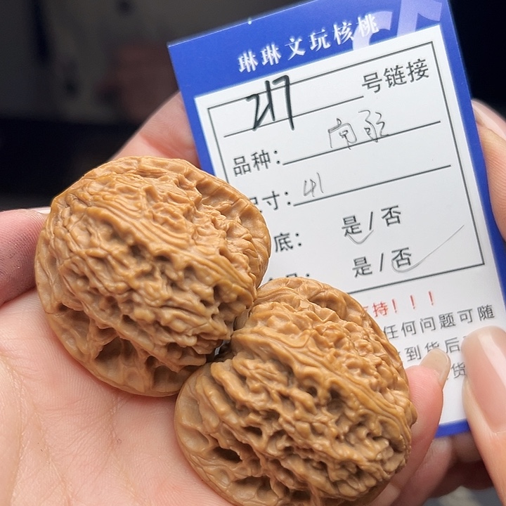 文玩核桃吊坠核桃树217