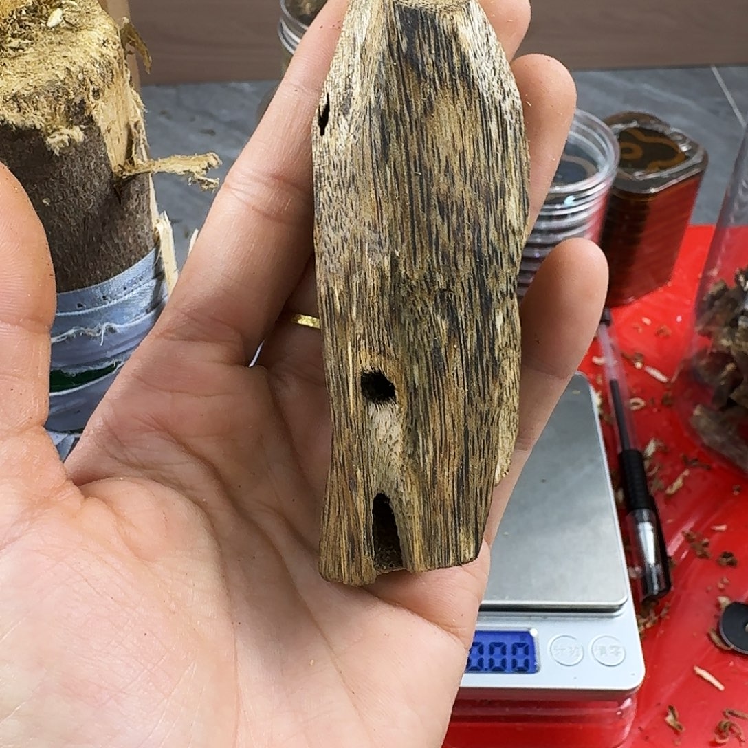 香料绿奇楠虫漏金沙叶18克