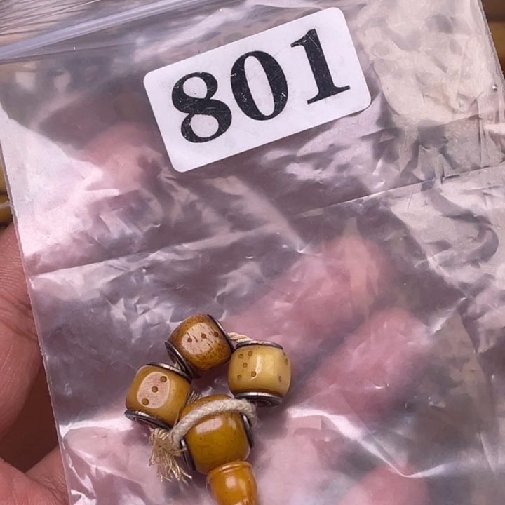 驼骨其他人工养殖