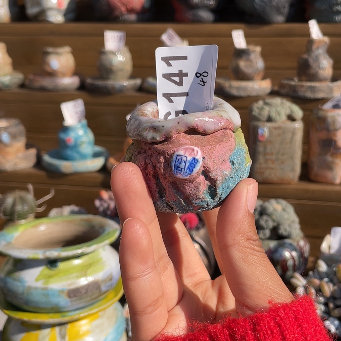 坛子姐花盆 小白孤品 内口2.5左右 百搭