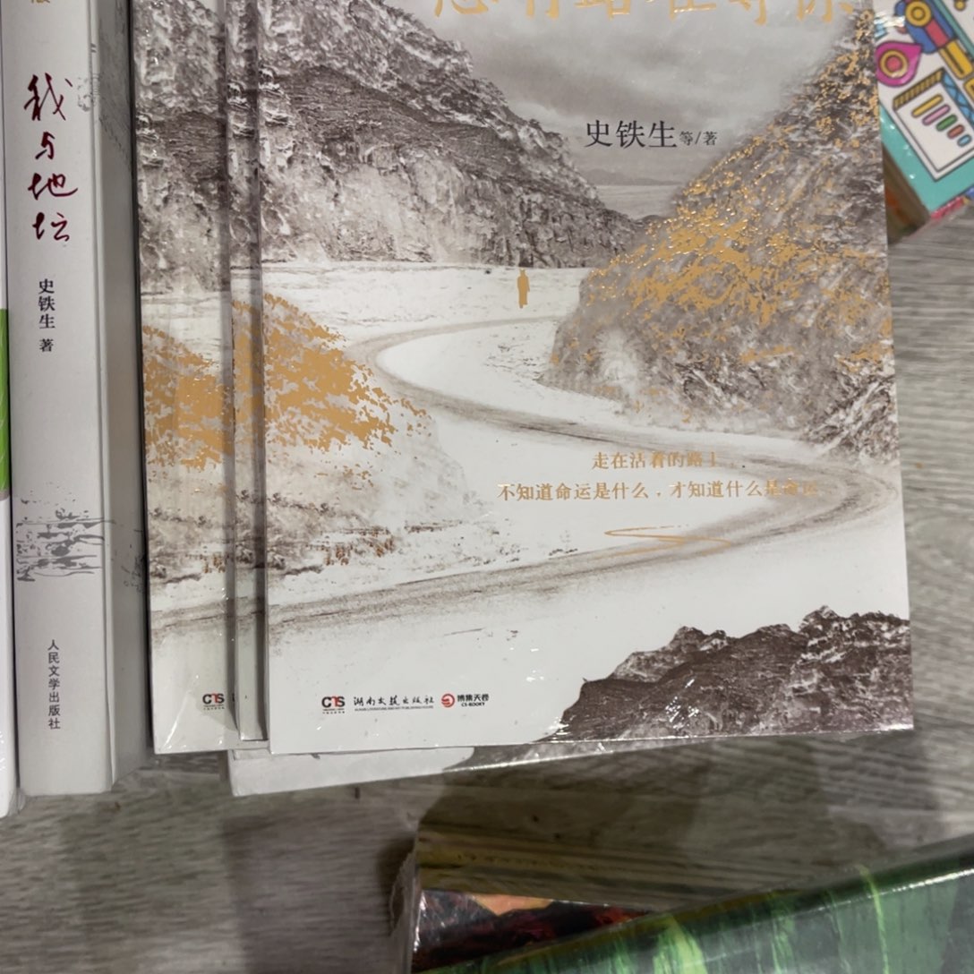 总有路在等你平装