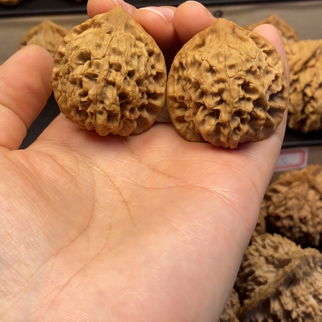 桃核吊坠啥*啥秦岭秦公子36