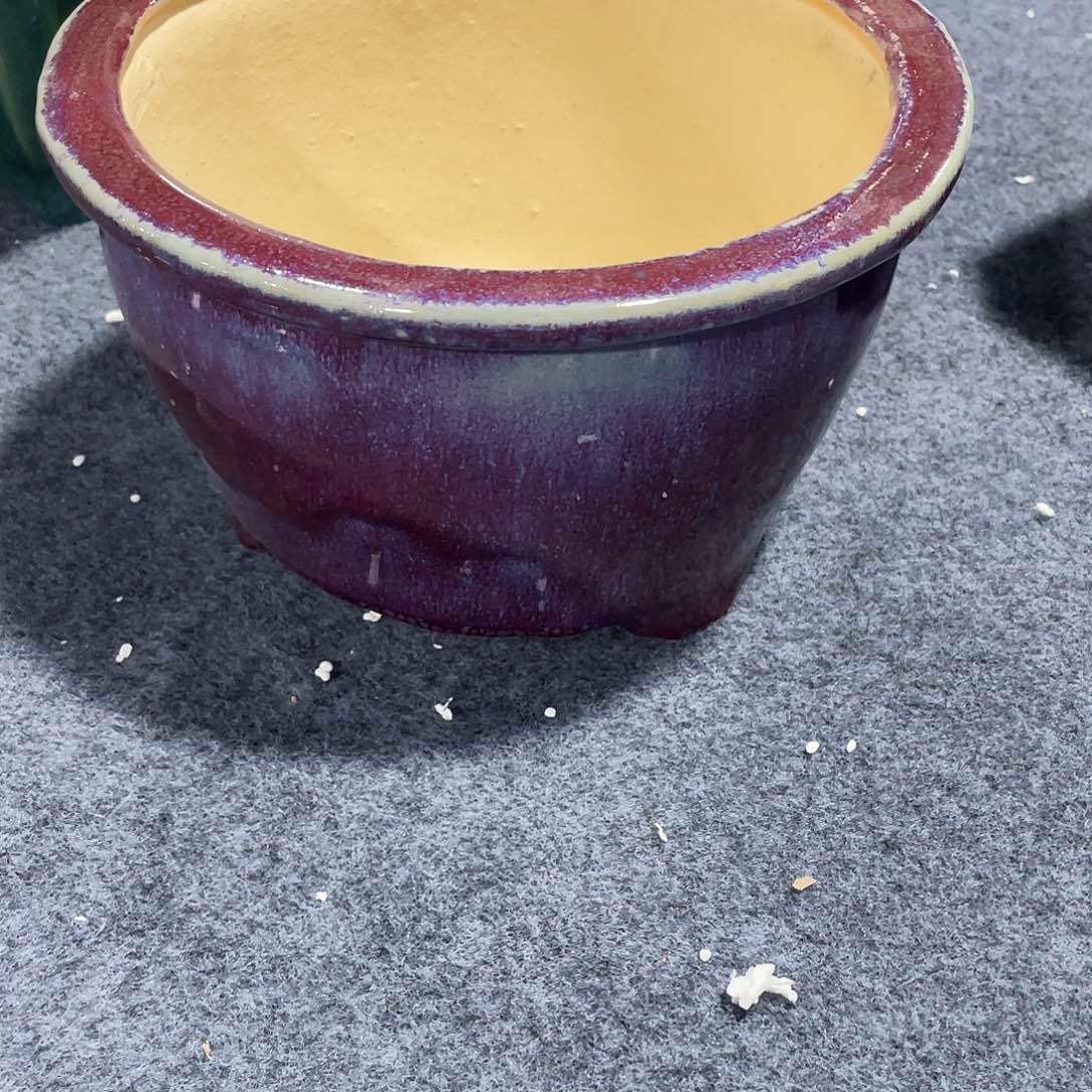 红陶栀***園岭南石湾盆