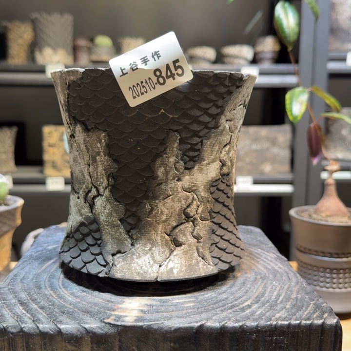 内口12.6高13.6黑陶龙鳞