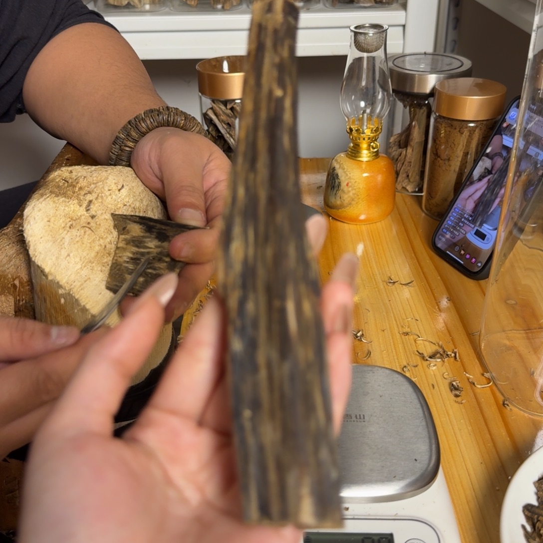 沉香绿奇虫漏26克