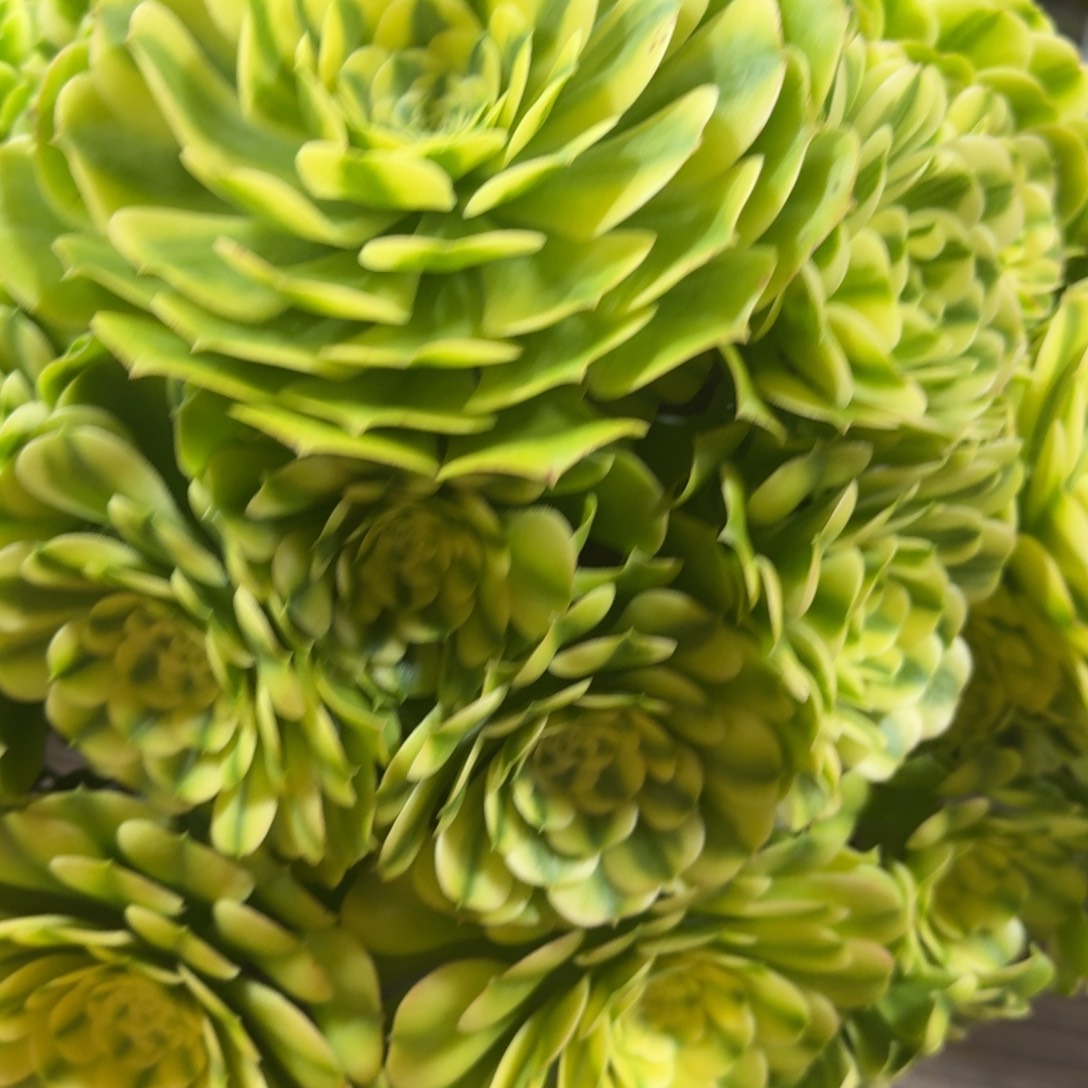 孙***空nbbbbbbbbbbbbbbbbbnn