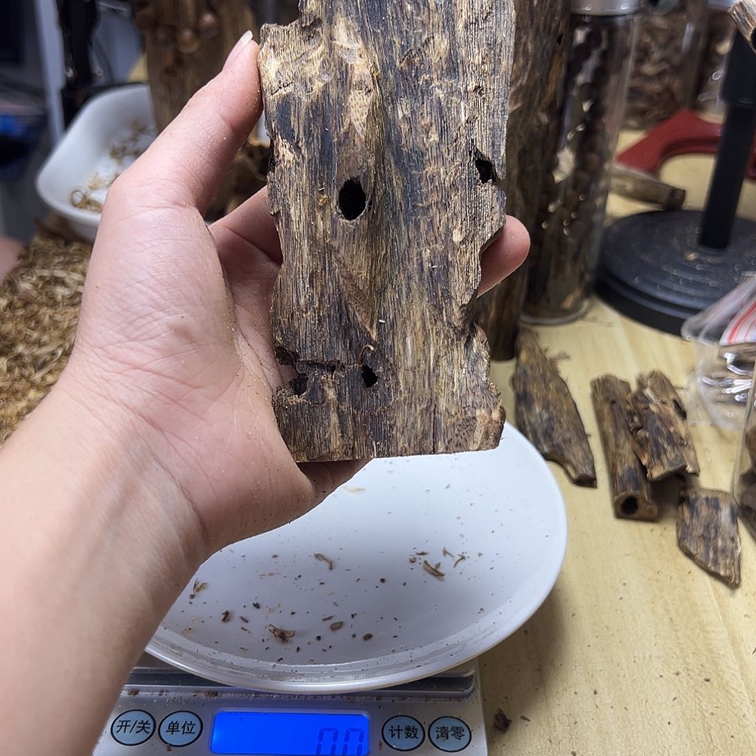 木绿奇楠虫漏42克