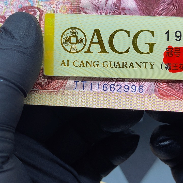 一张一张一张一张一张一张