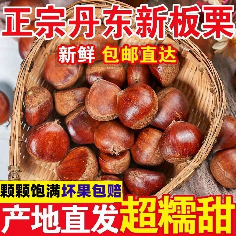 正宗新鲜板栗5斤果仁金黄软糯香甜现摘现发T