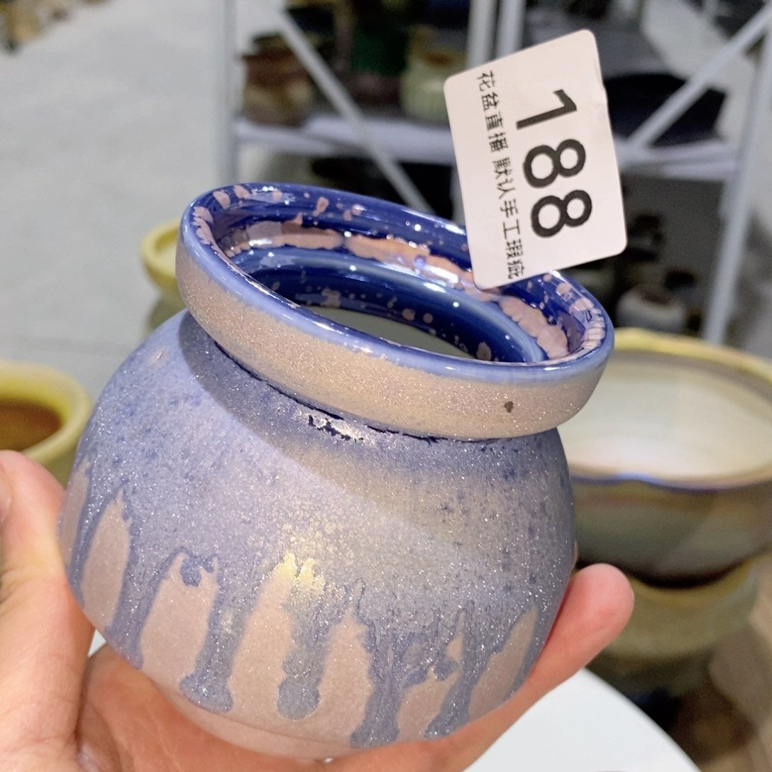 花盆花盆花盆炫彩