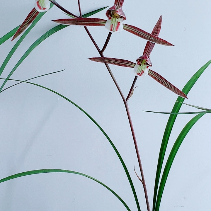 人***梦完全开放一物一拍