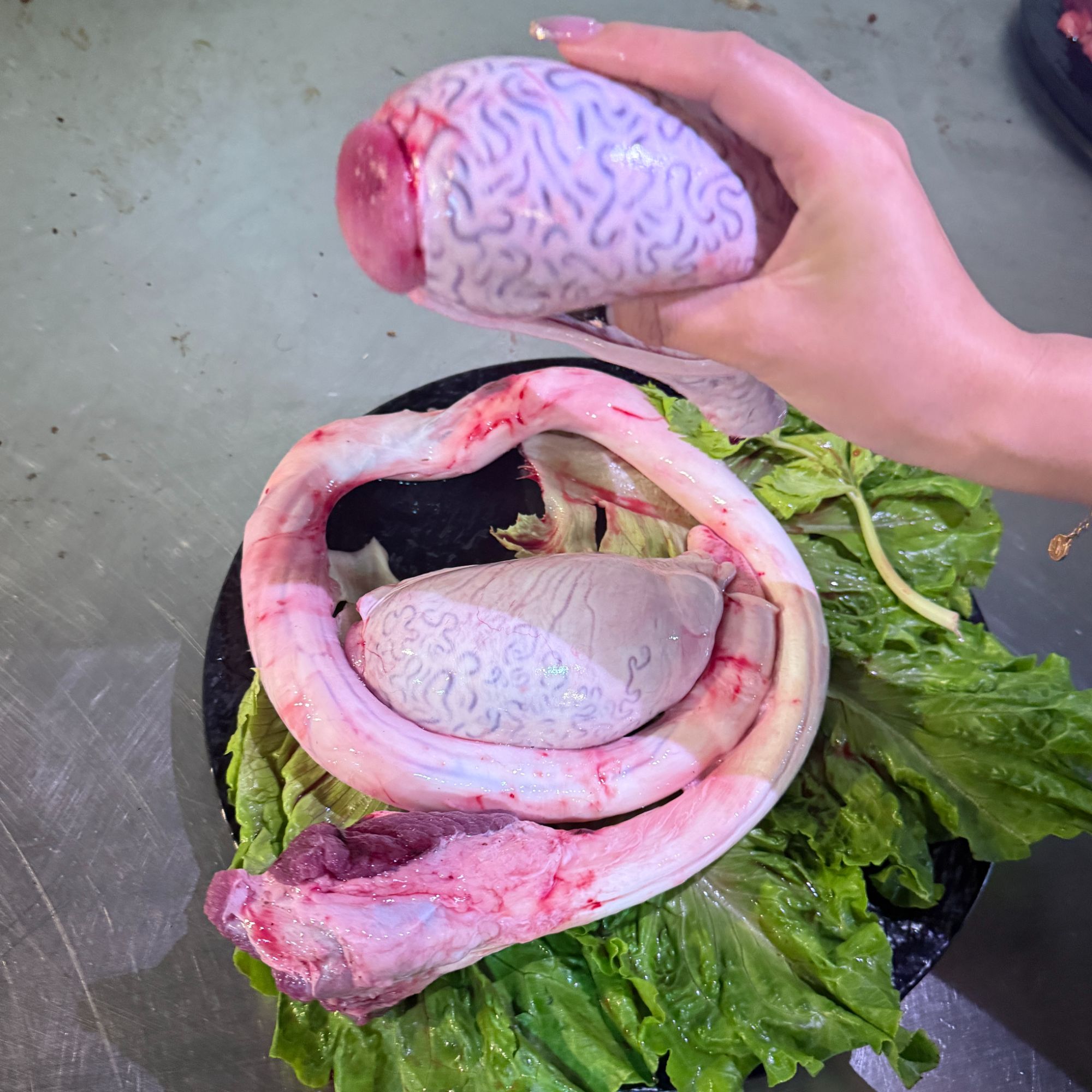 【捷牧源】鲜精品牛鞭宝干净真空包装新鲜现宰牛鞭顺丰冷链包邮到家