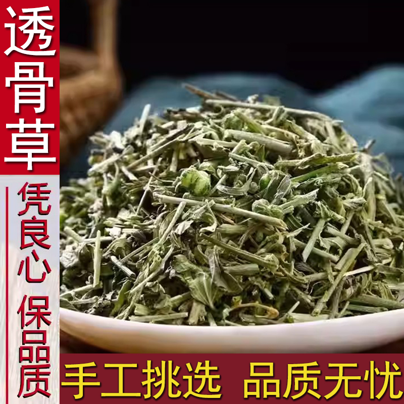 透骨草正品道地精选无硫野生透骨草滋补养生搭配枸杞泡水泡茶喝