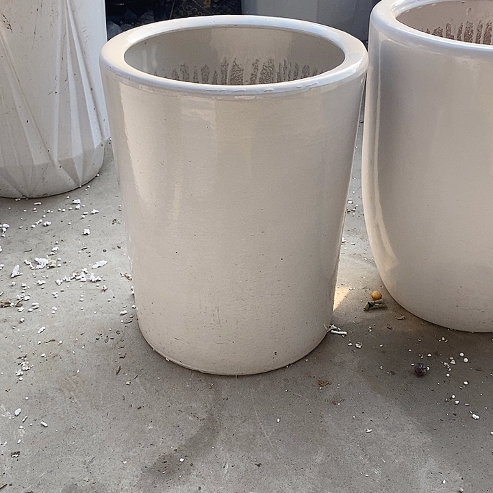 白直筒中口24高31福利