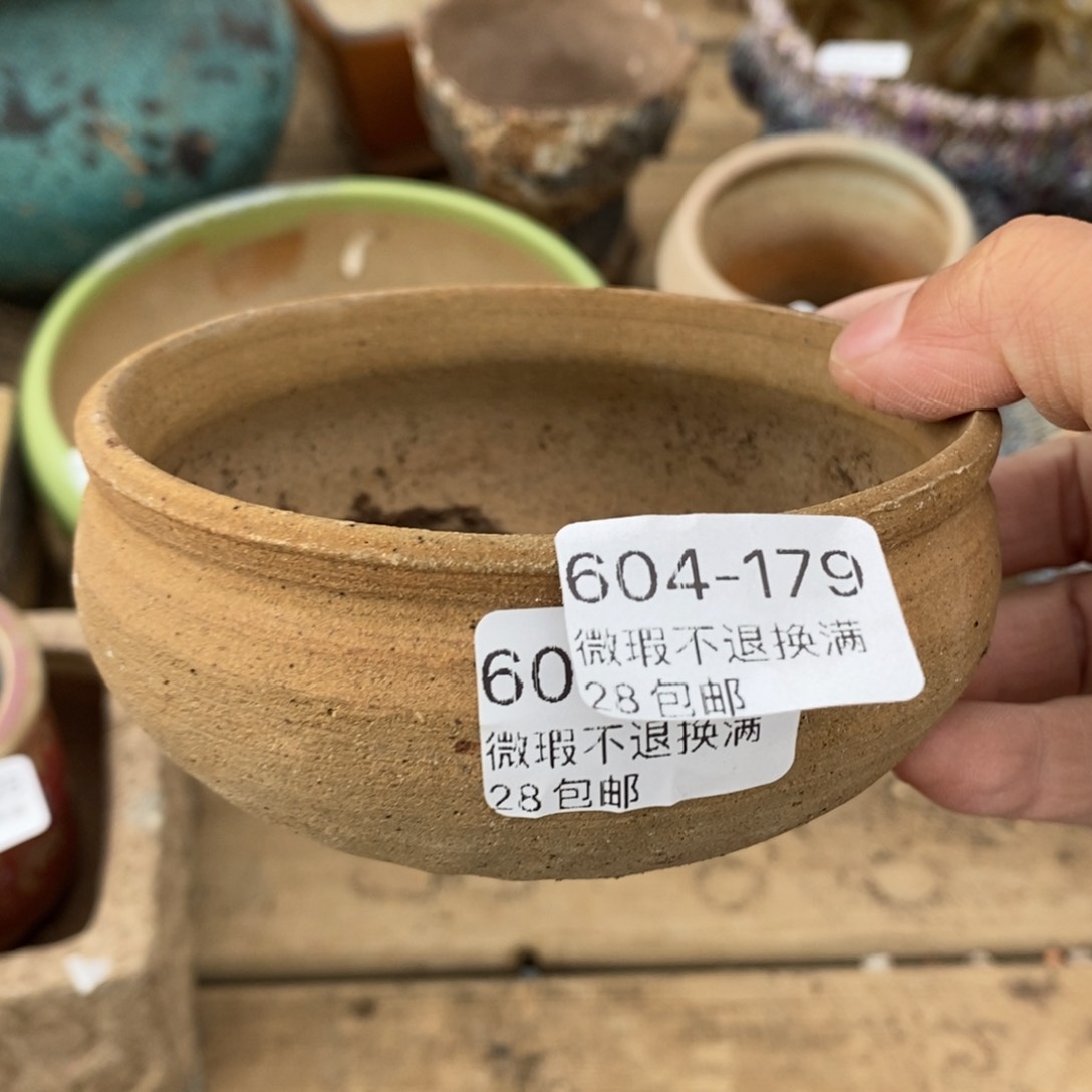 179号多肉盆口径9