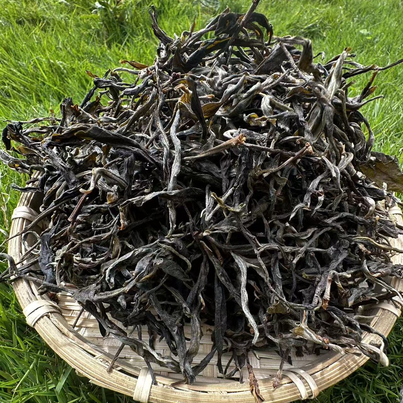 2025年下磨烈秋茶古树生茶散茶500g