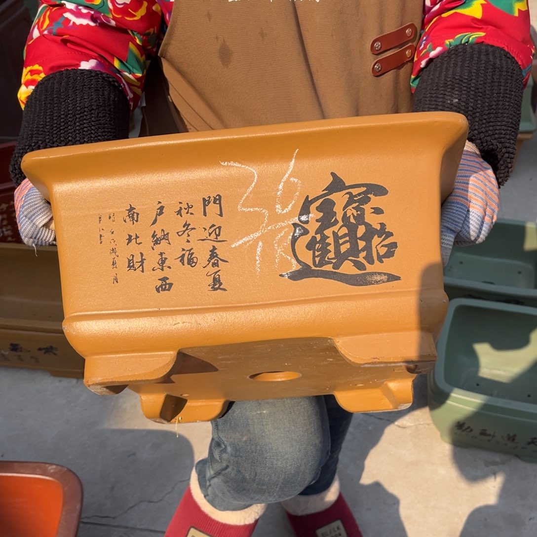 紫砂花盆盆景艺术