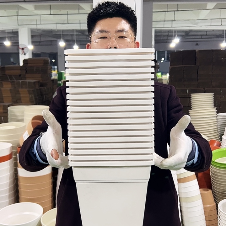 正品方盆口20高22白色6只无托