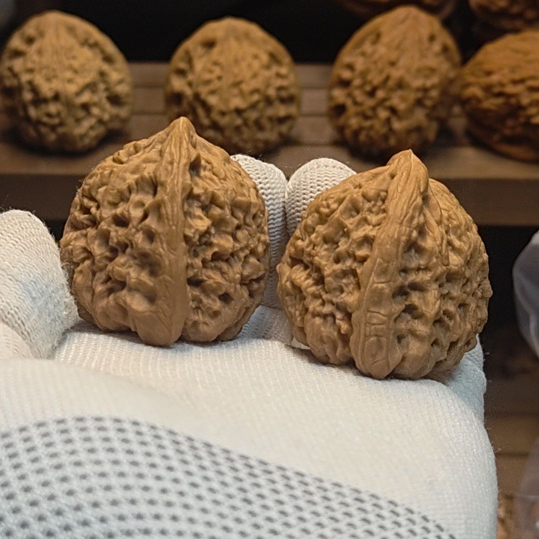 期***w涿鹿南疆石大卷饼溜肩