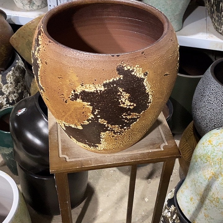 口23高度31金地球………