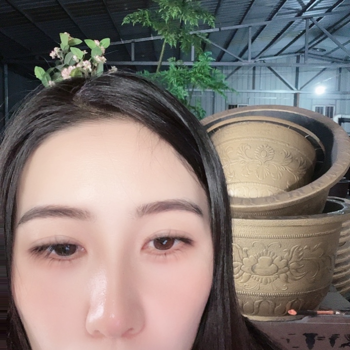 圆60口径花盆两个