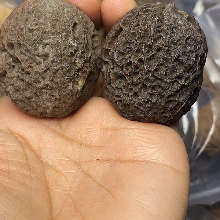 把件文玩核桃云南铁核桃63