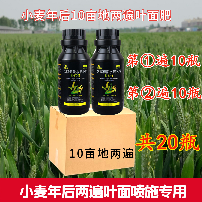 小麦年后【大包装10亩地两遍】叶面肥腐殖酸氨基酸水溶肥