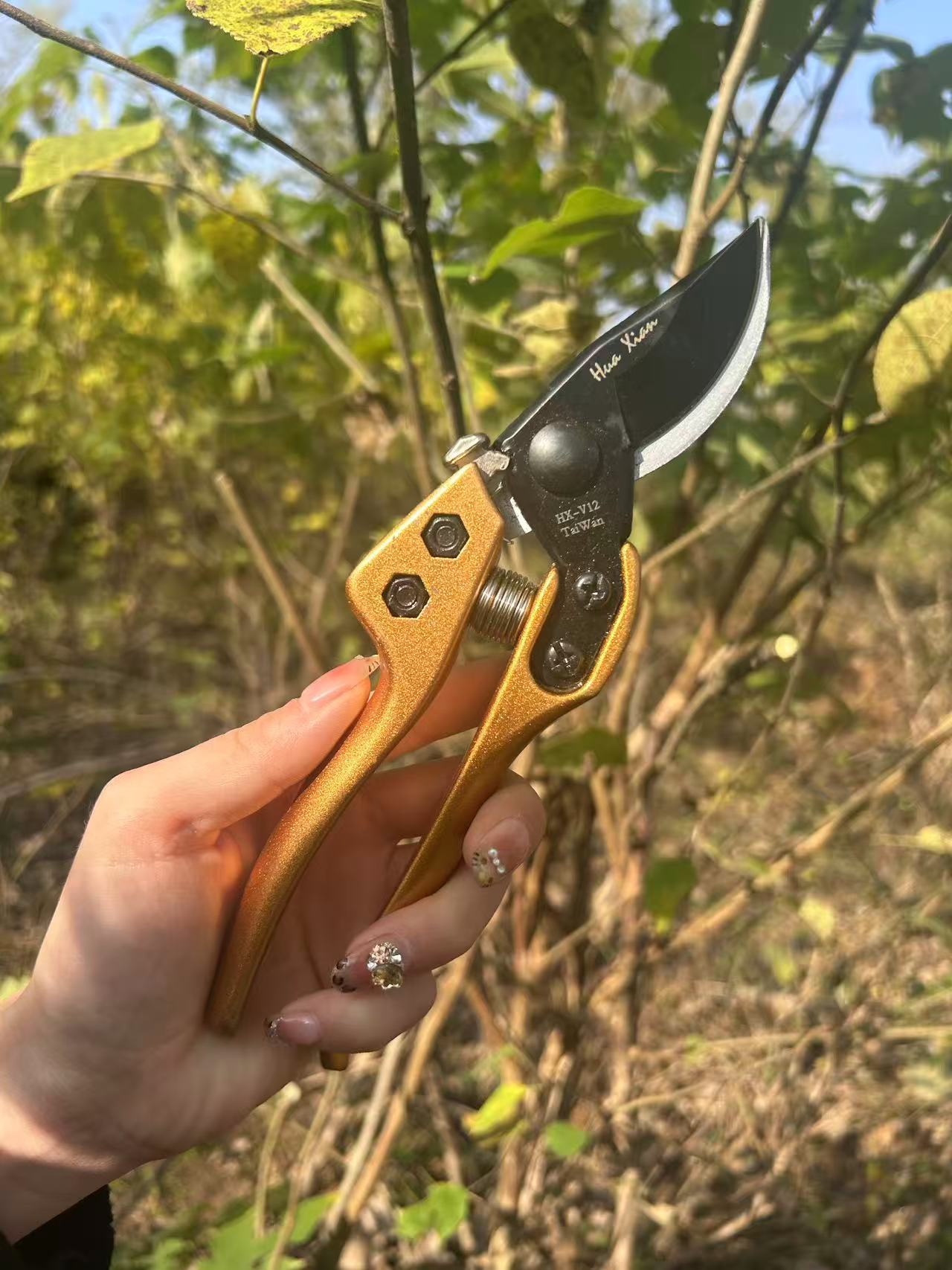 多功能修枝剪园林果树花卉专用园艺剪刀家用绿化修剪工具