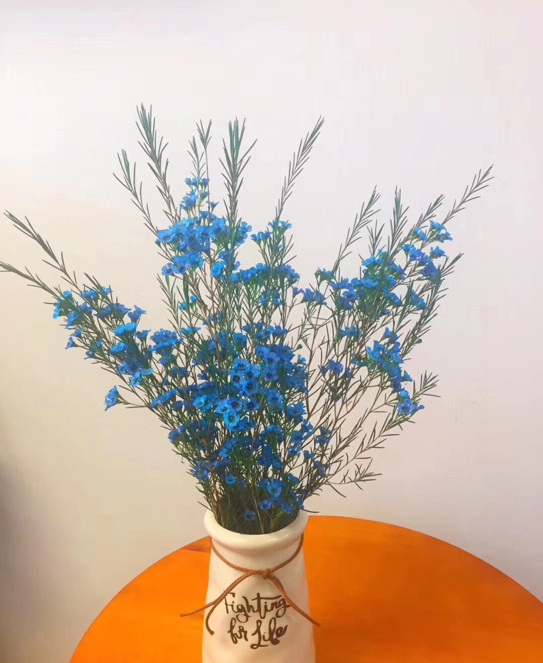 套餐70 蓝色腊梅一小把+吸色午夜蓝小菊3支+吸色单瓣紫罗兰一把