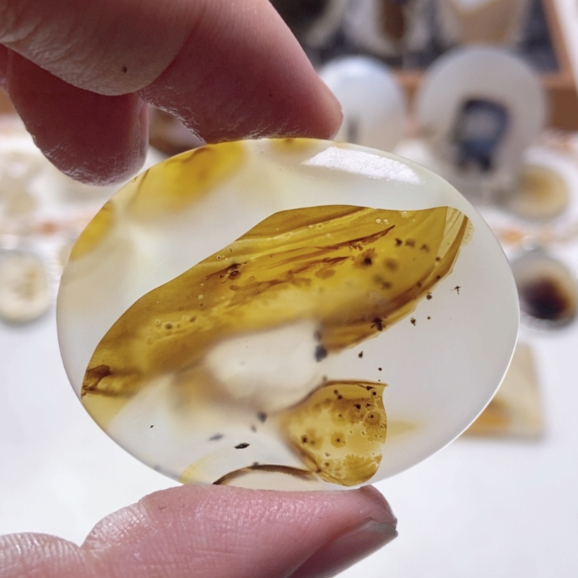 【闪购商品】玛瑙/玉髓颈饰未镶嵌