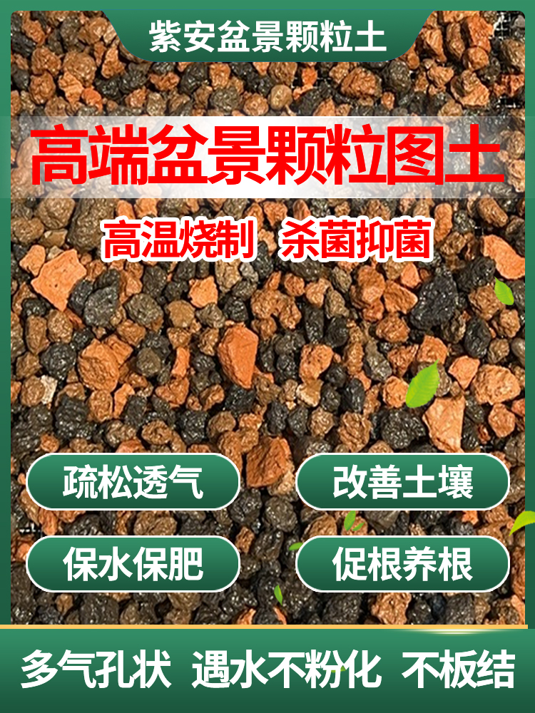 紫安土黄栌，松柏，栀子，兰花雀梅