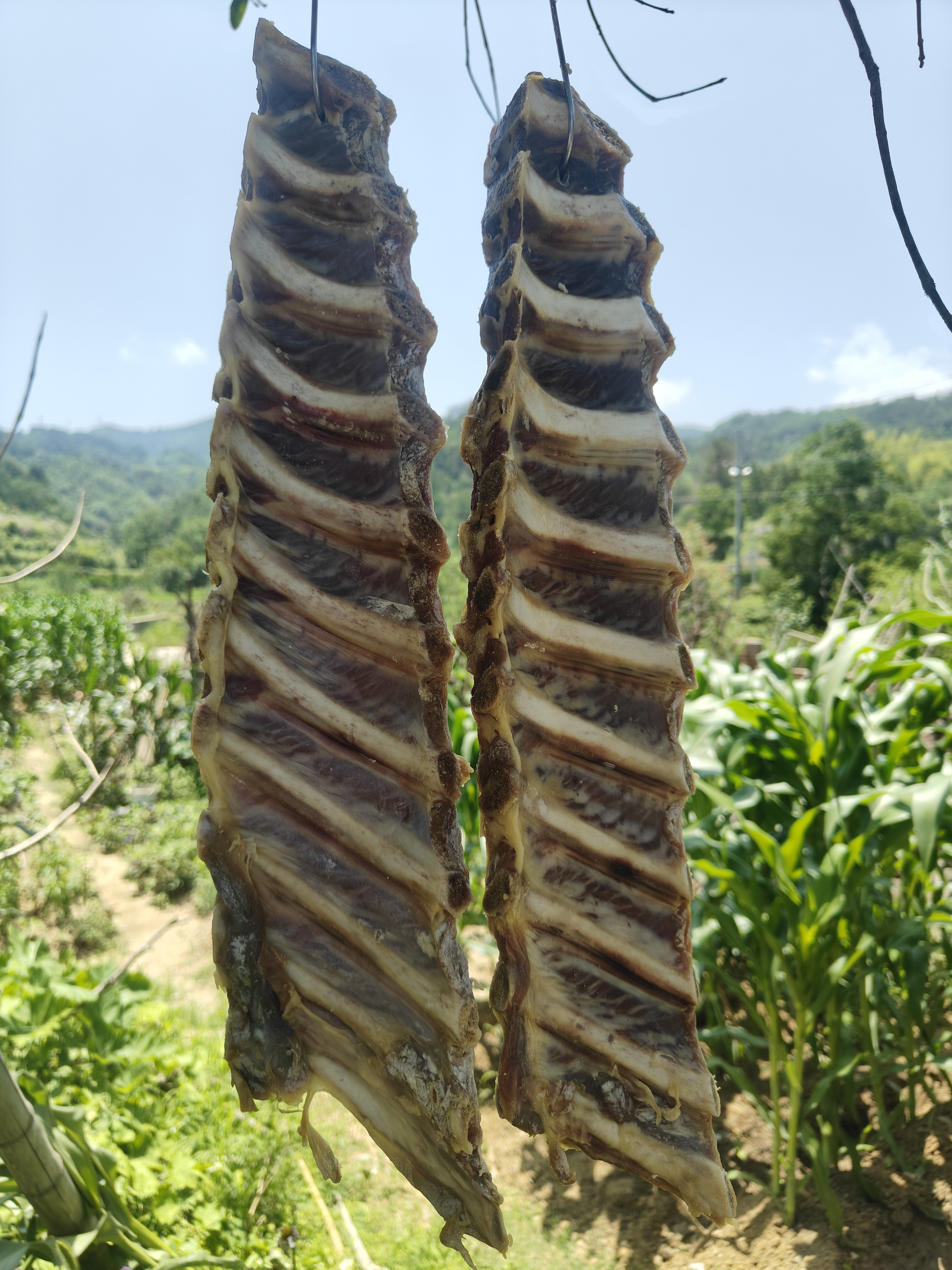 农家腌制风干腊排骨安徽特产传统风味土猪排骨
