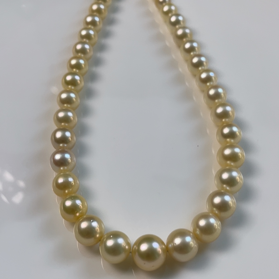 颈饰银S925镶嵌海水珍珠干枯玫瑰9-13