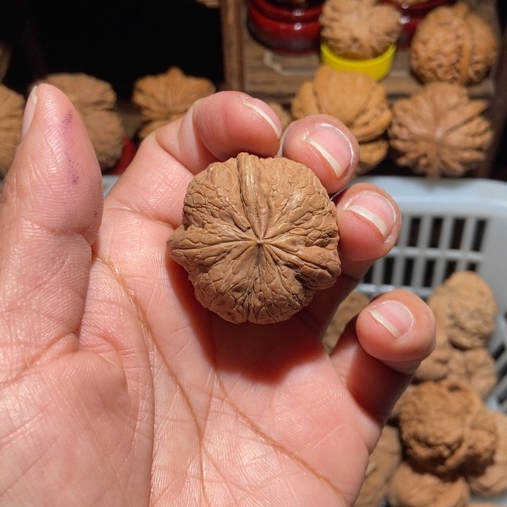 杨***六核桃元宝三棱尺寸36全品