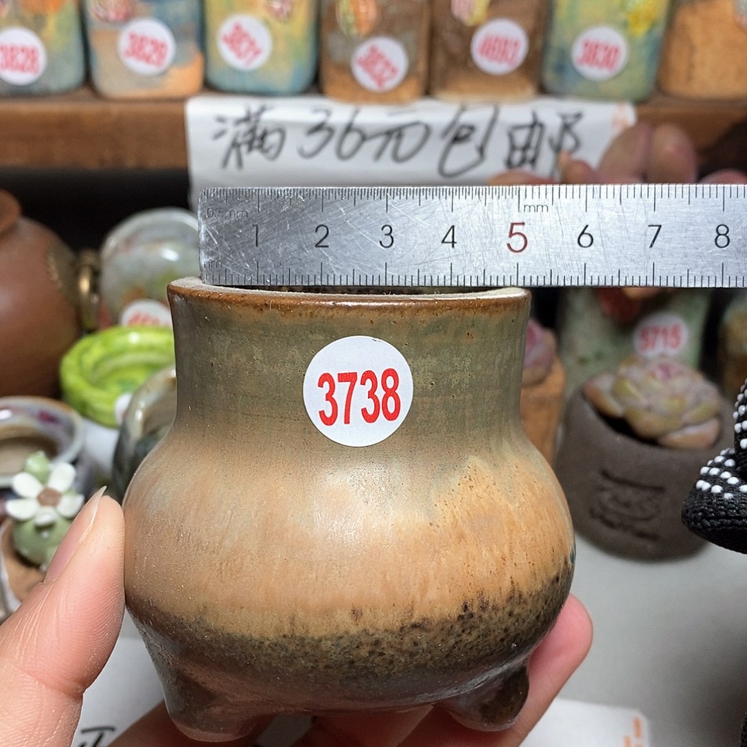 红陶拍5送一个小