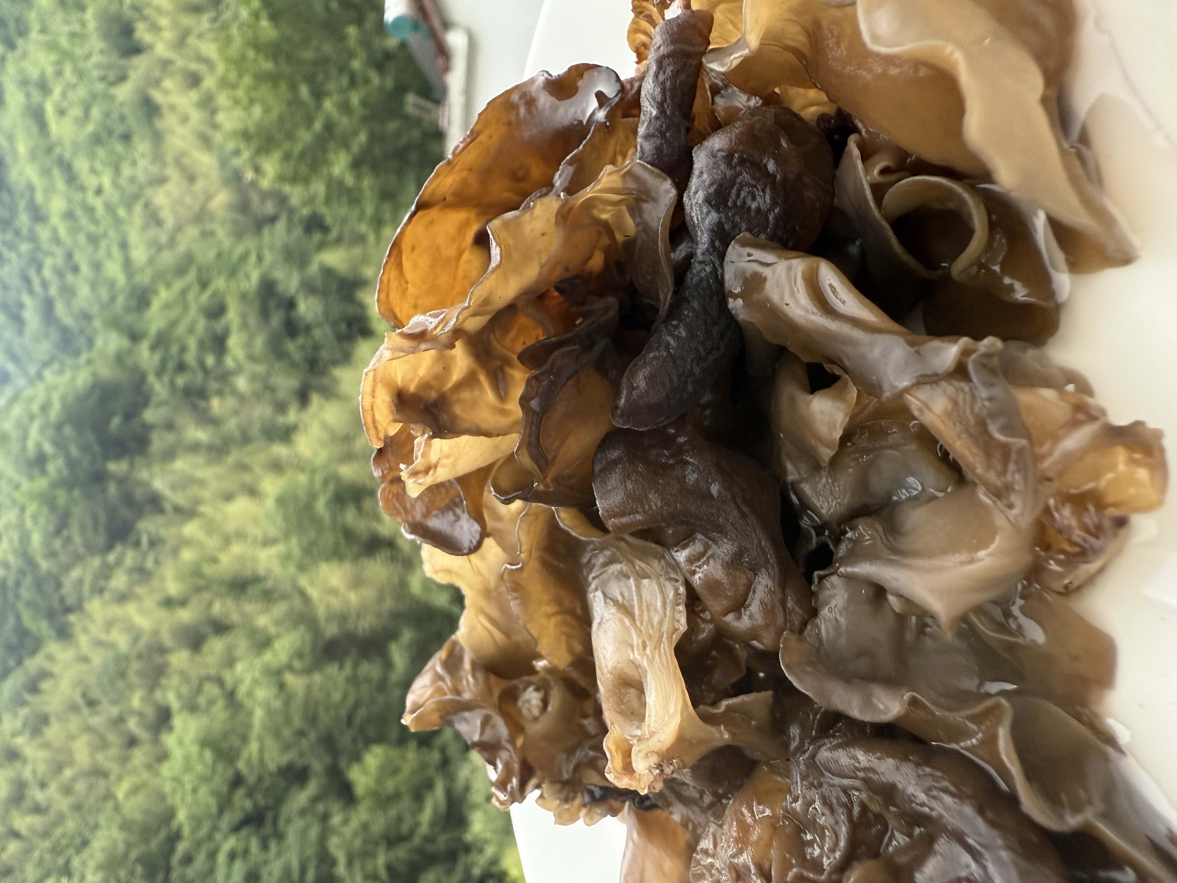 镇巴特产传统滋补营养品高山黑木耳