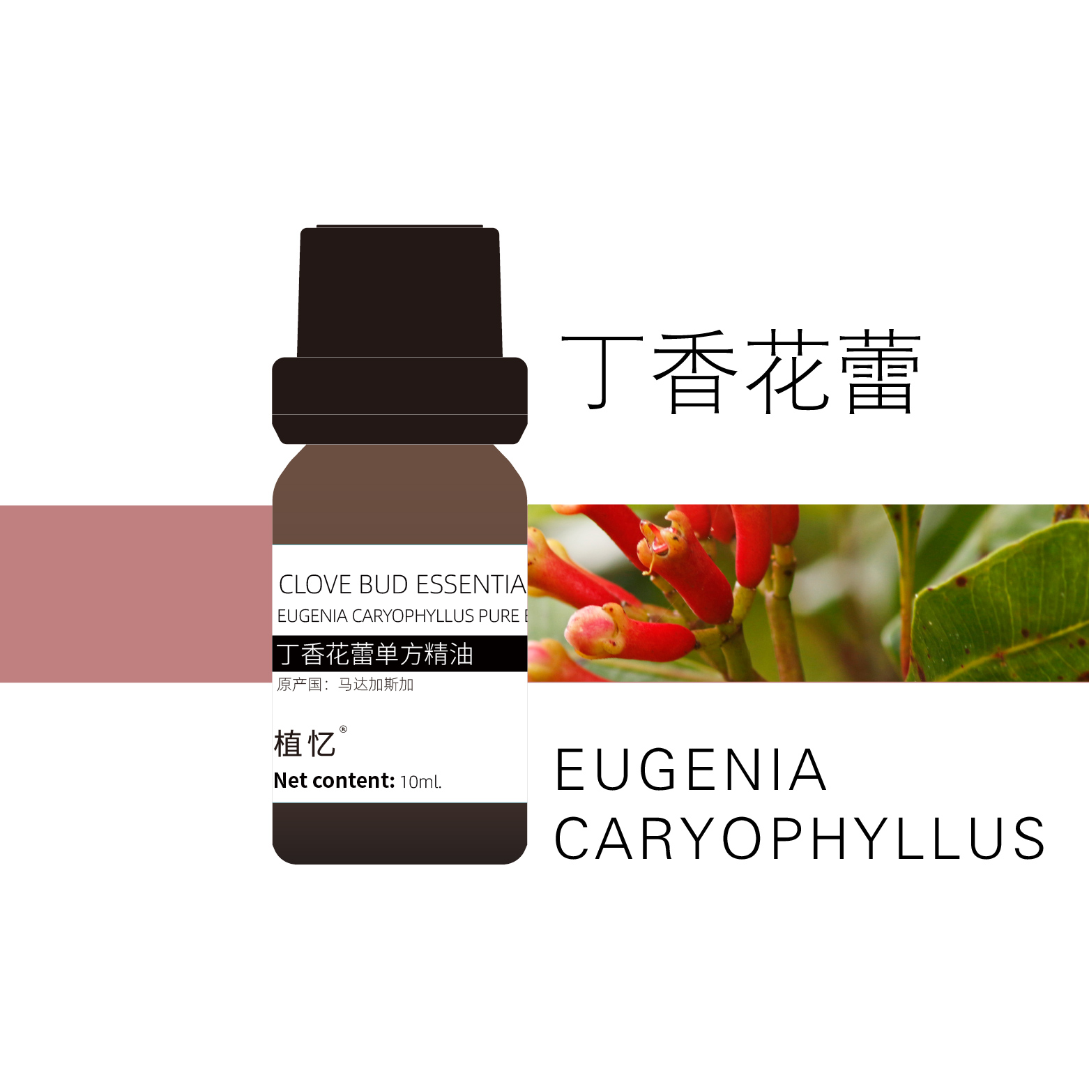 植忆丁香花蕾精油 马达加斯加 植物单方精油