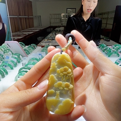 翡翠未镶嵌颈饰一个