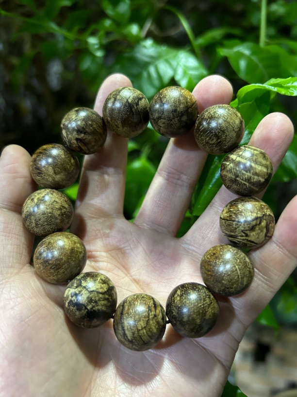 【土特产菇133】净含量38g