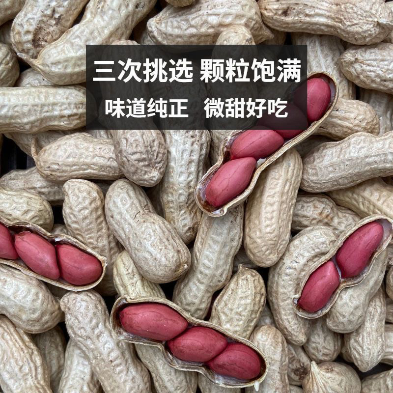 农家自种红花生。