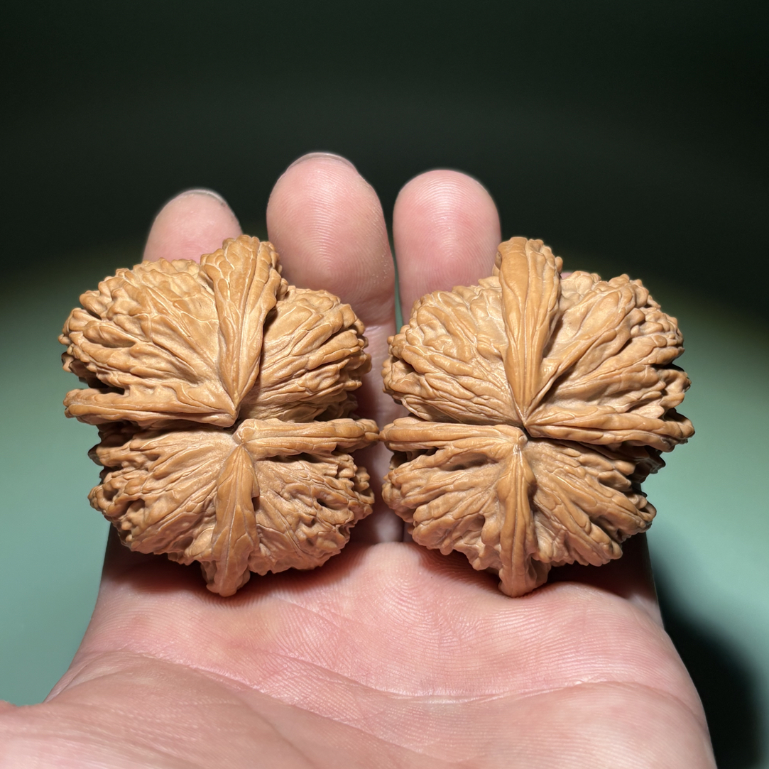 50尺 正四棱球连白狮子头