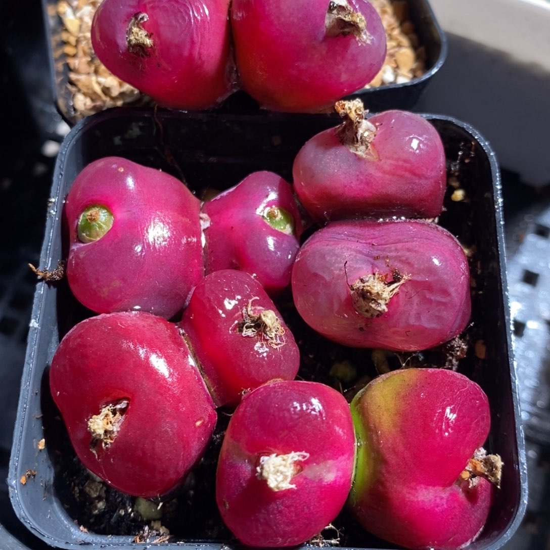 11140一组一组一组