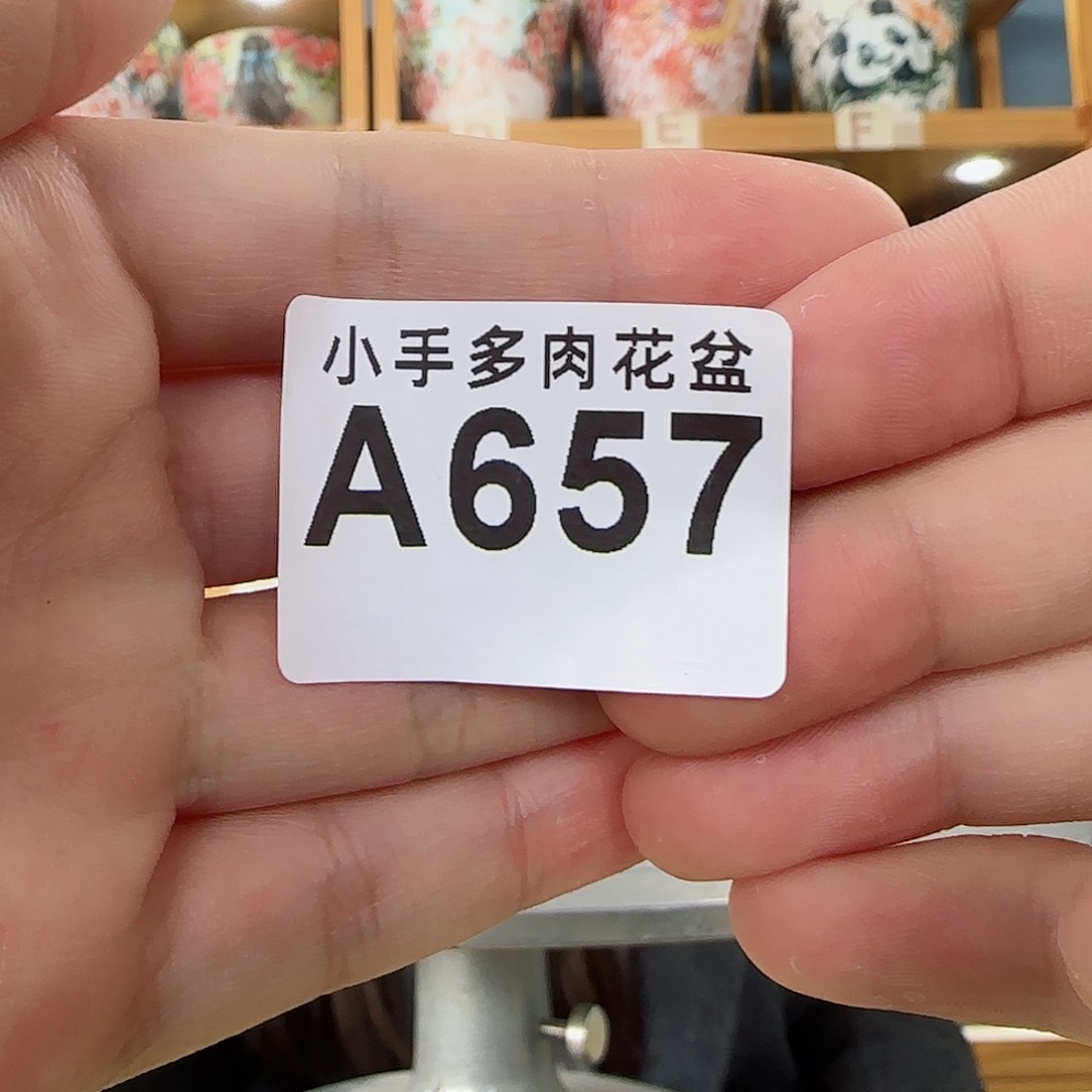 瓷片微瑕微瑕微瑕微瑕