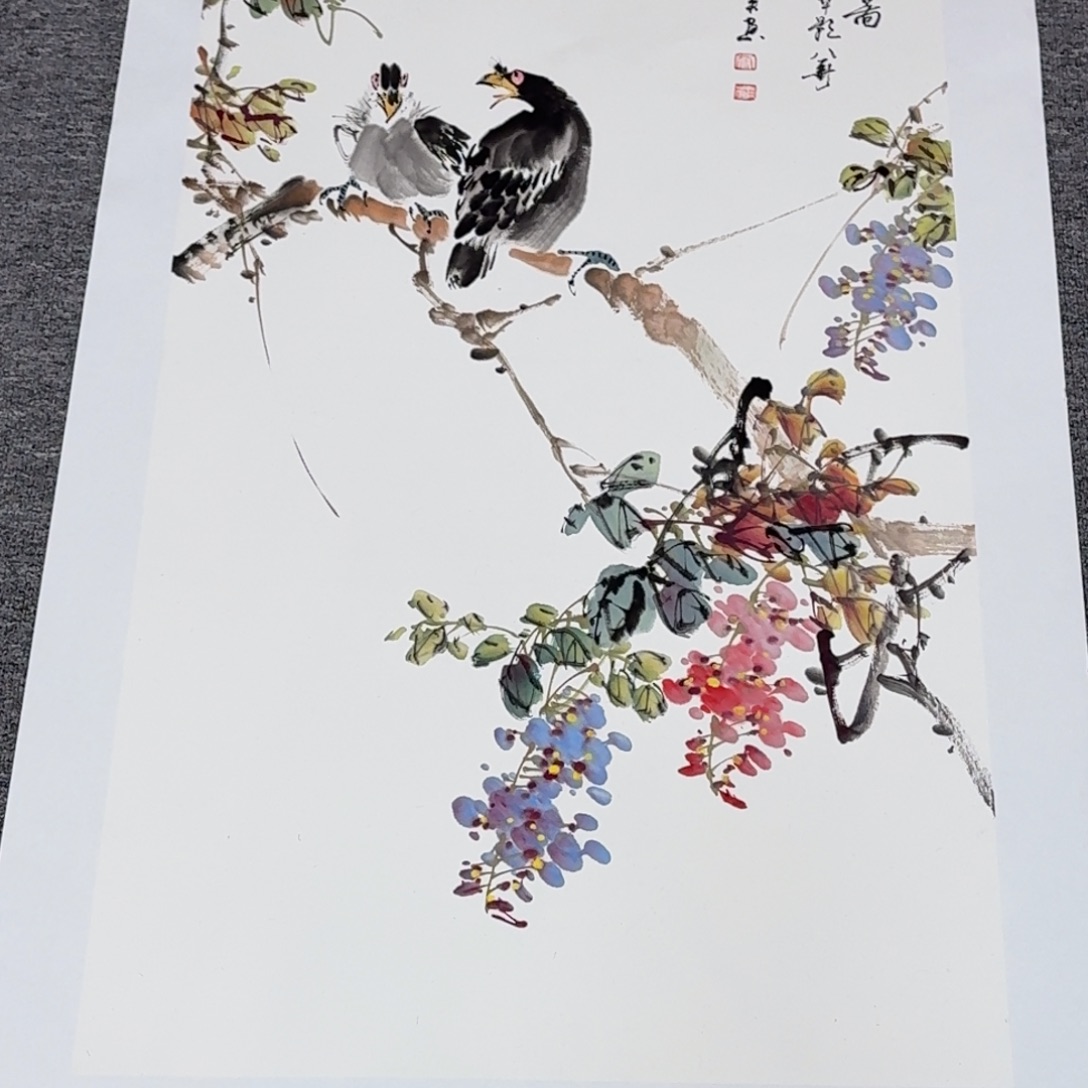 国画新号开播福利多多